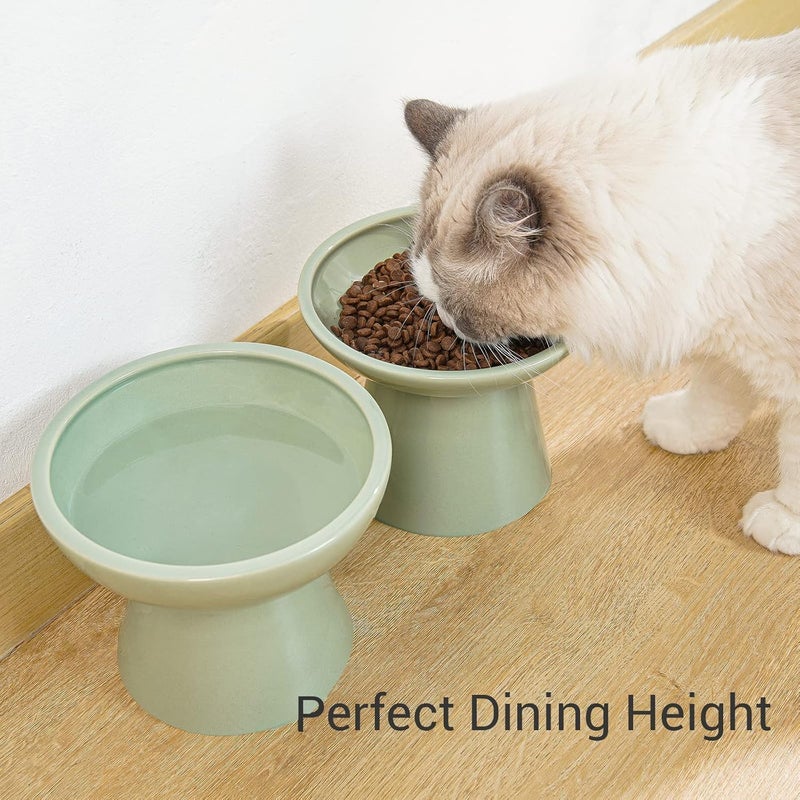CEEFU 2 Elevated Ceramic Cat Bowls Extra Wide for Food & Water – Whisker Fatigue Shallow Food Dish, Lead & Cadmium-Free, Raised Height for Cats, Sage Green - Image 4